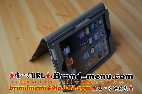 2013iPad miniС͵